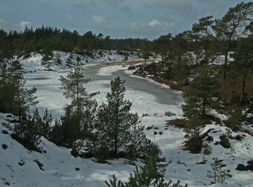 Frederiksh�b Plantage (foto: Rune Engelbreth Larsen)