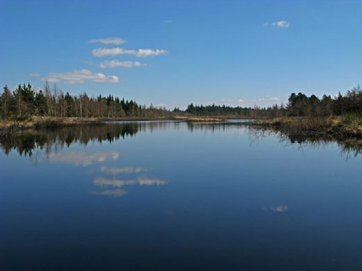 Tovsig S�, �sterild Klitplantage (foto: Rune Engelbreth Larsen)